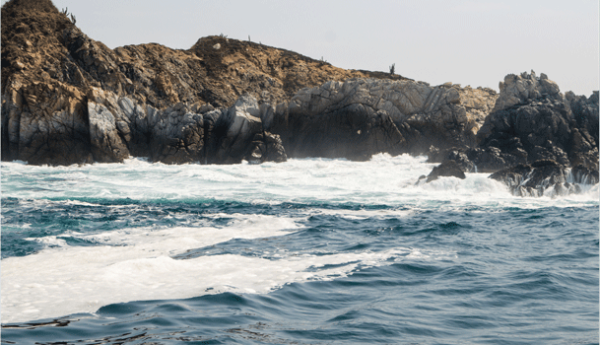 LP Luxury Vacations