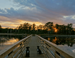 Florida