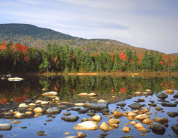 New Hampshire