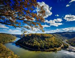 Virginia